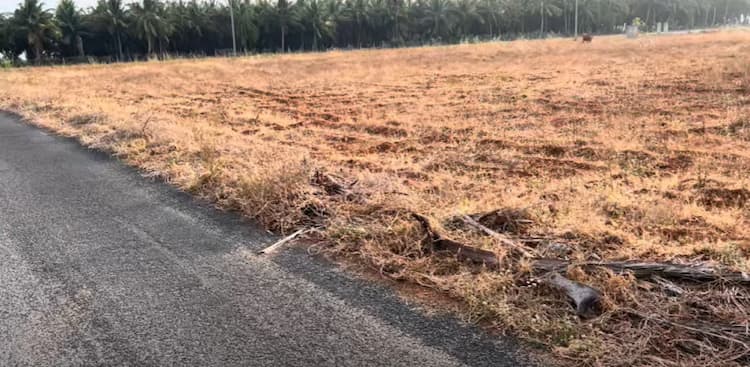 Land for Sale