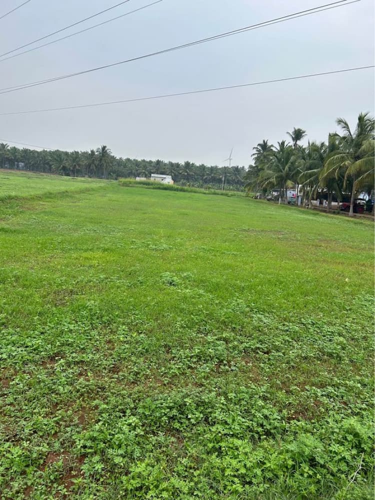 4.80 Acre Land for Sale