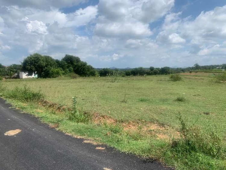 Agriculture Land