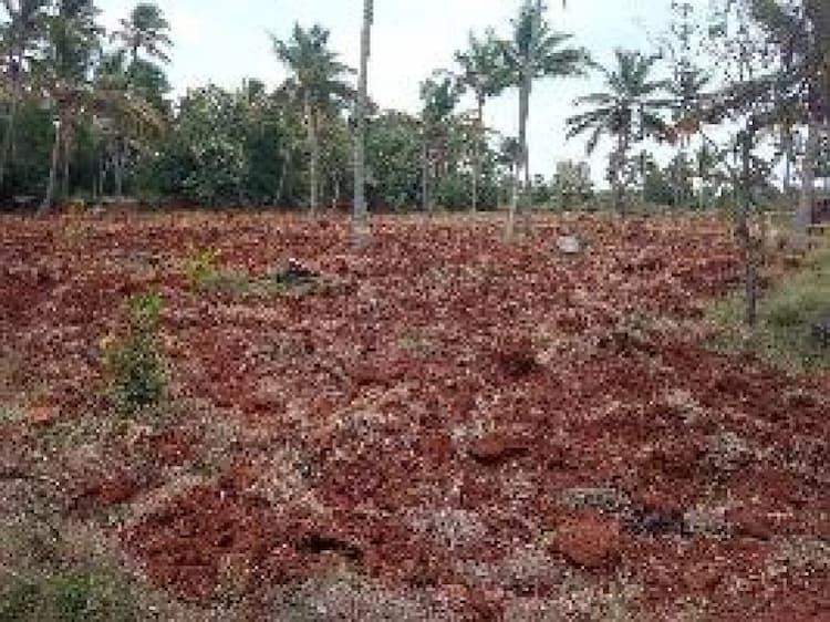 Land sale