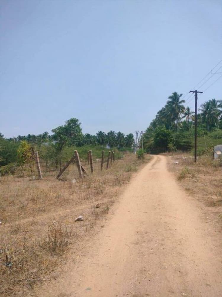 11 cents land for sale