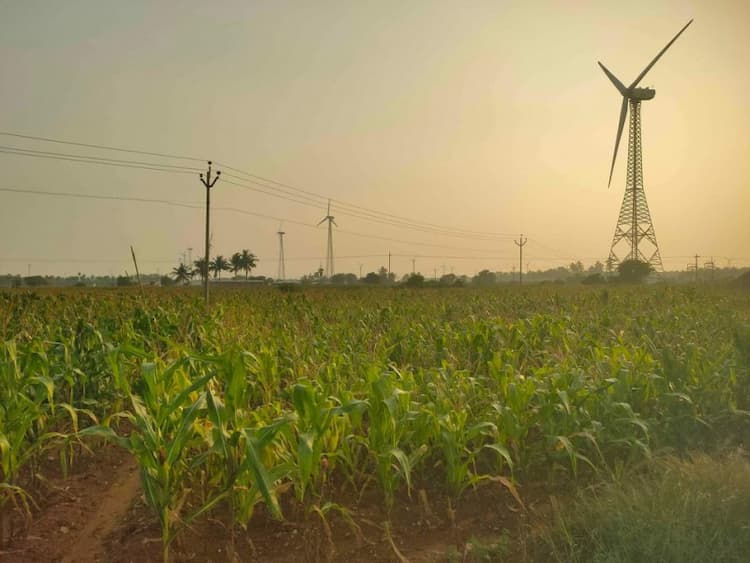 4 Acre Farm Land for Sale