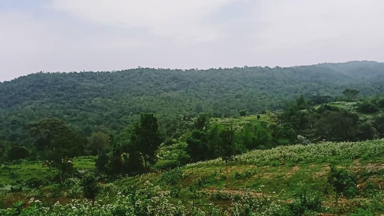 Single Property Image