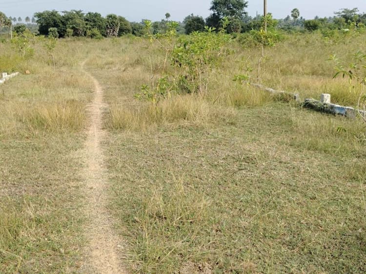 North Facing Plot for Sale