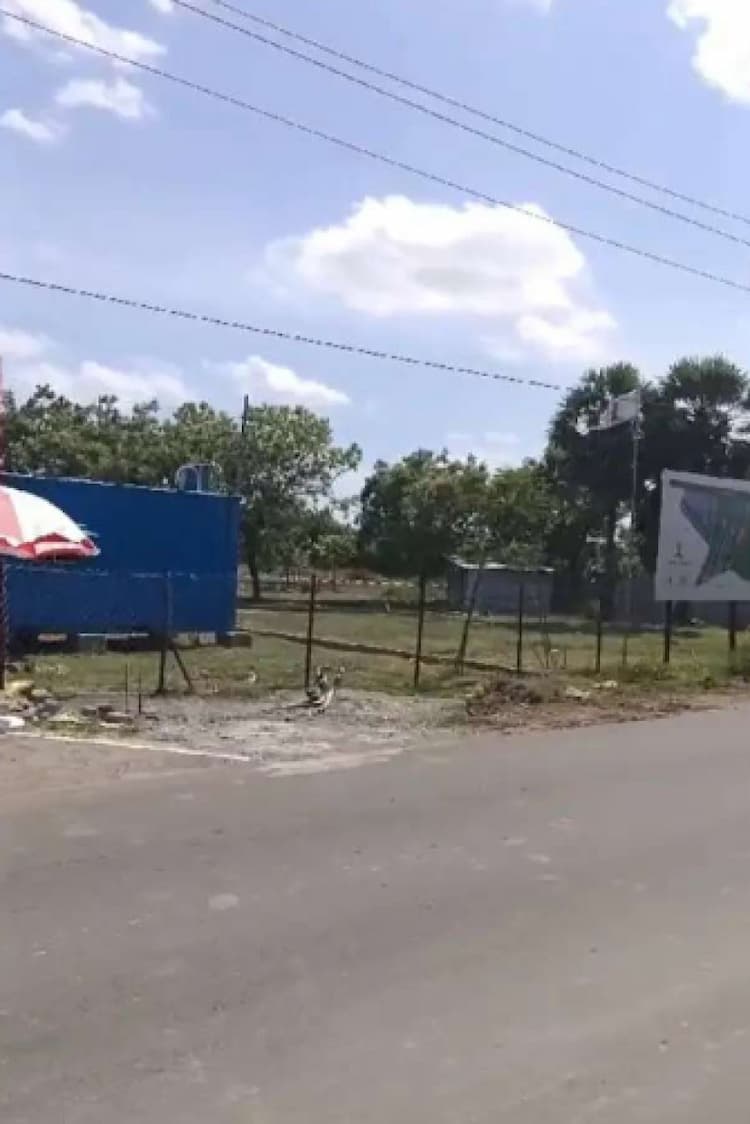 plot for sale 