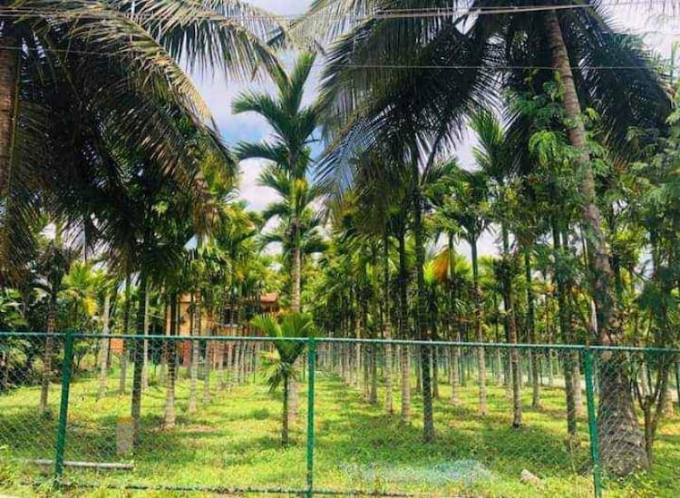 Farmland For sale