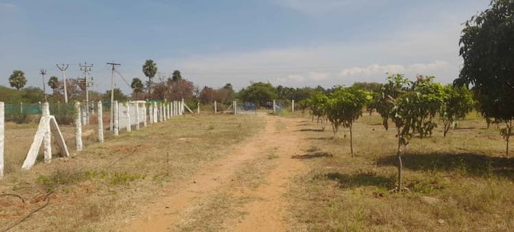 Land For Sales