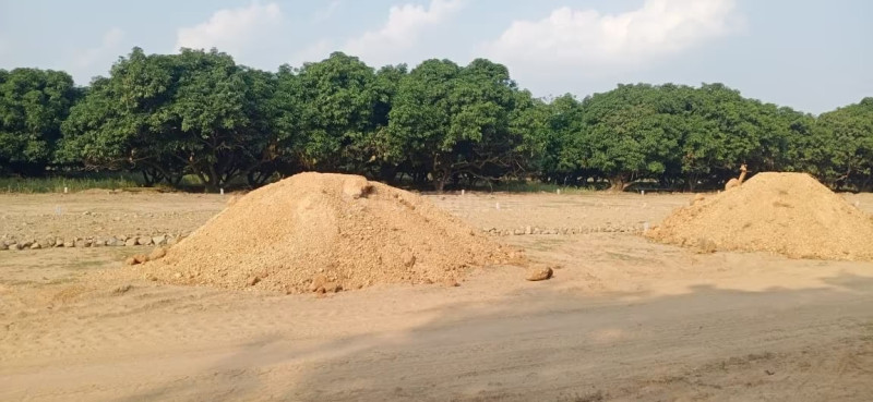 Residential Plot