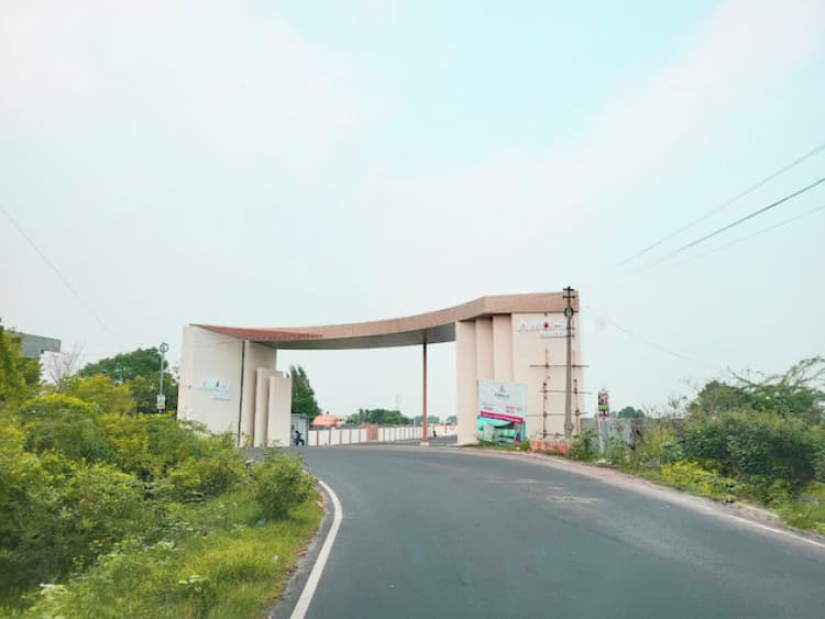 AMOHA Residency