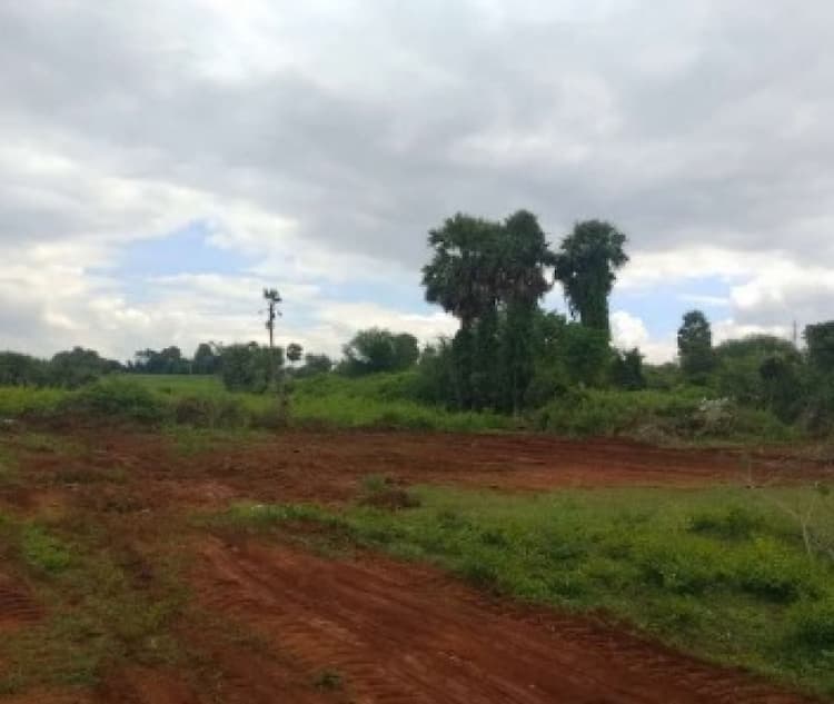 Single Property Image