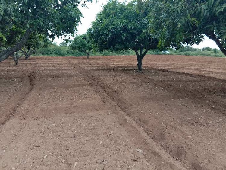 Agricultural Land