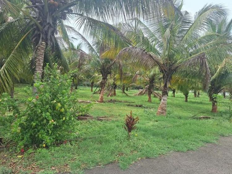 Single Property Image