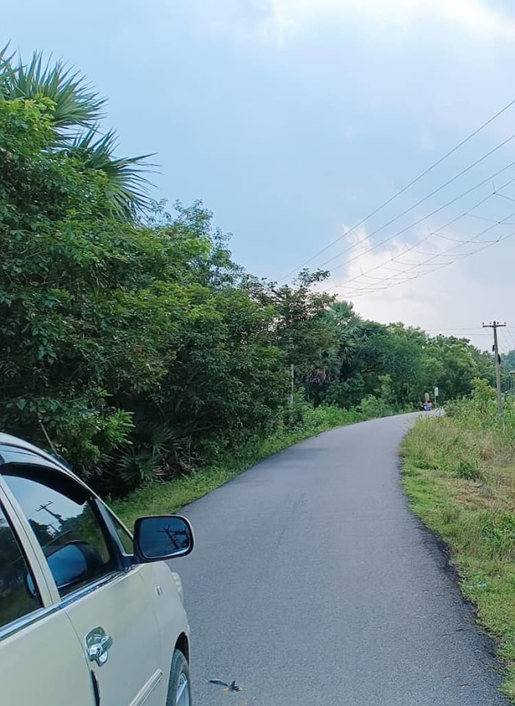 4 acres punjai land sale in near chengalpattu 