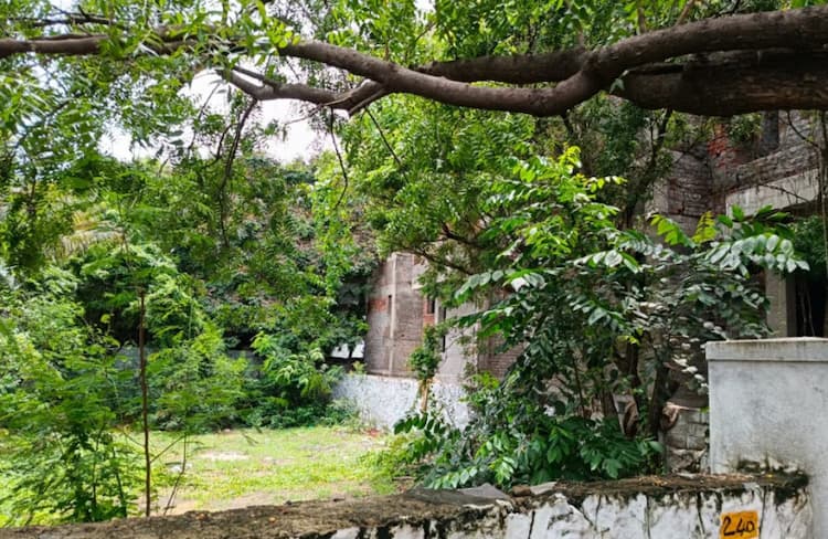 Land for sales