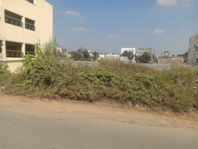 site for sale