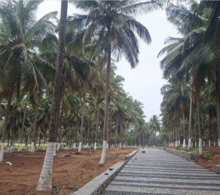 Single Property Image