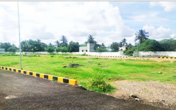Land for sales