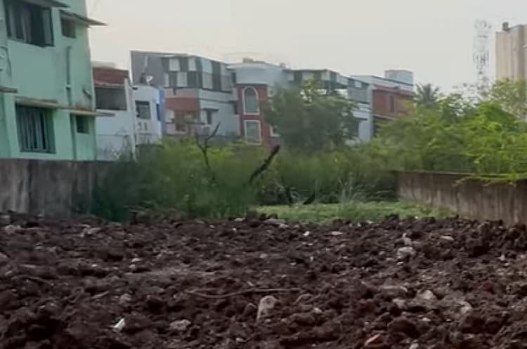 Land for sales