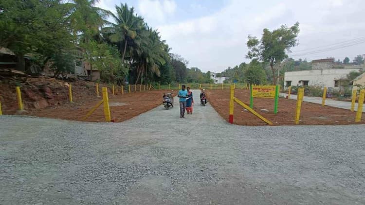 Land For Sales