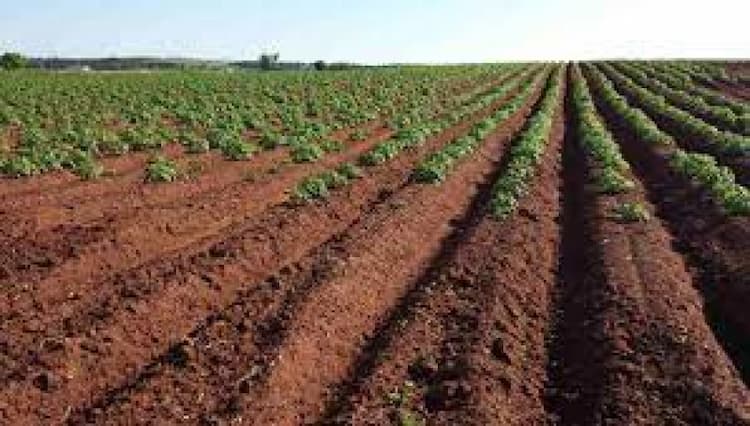 Land for sale