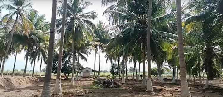 11 Acre Land for Sale