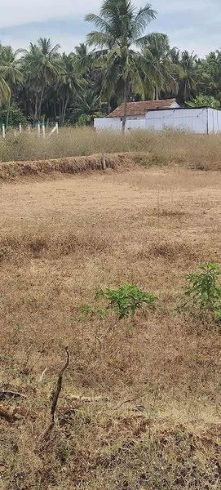 30 cent land for sale