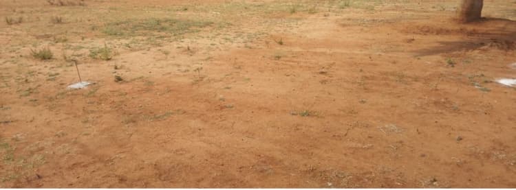 Plot sale