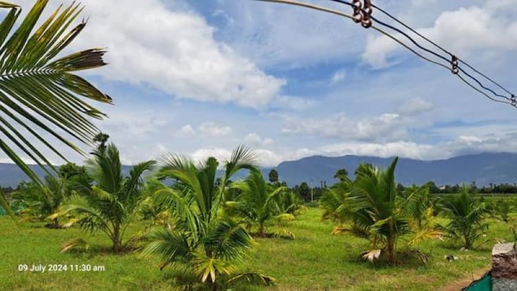Single Property Image