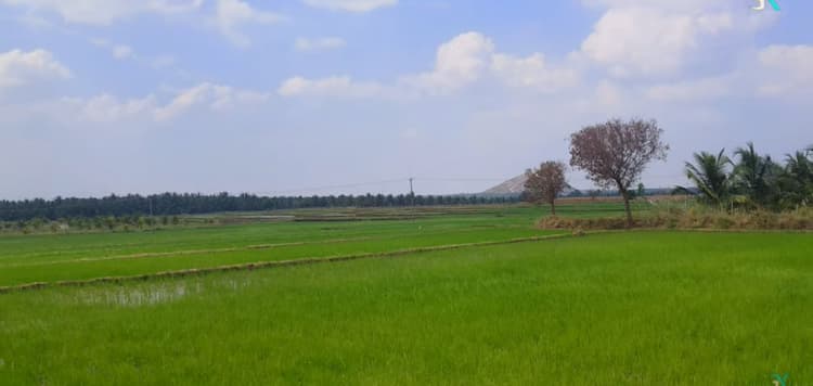 Farm Land for Sale