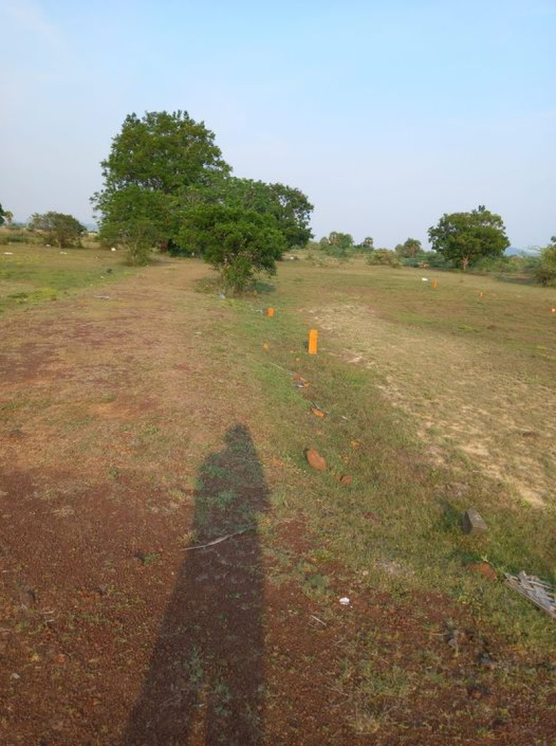 PLot sale