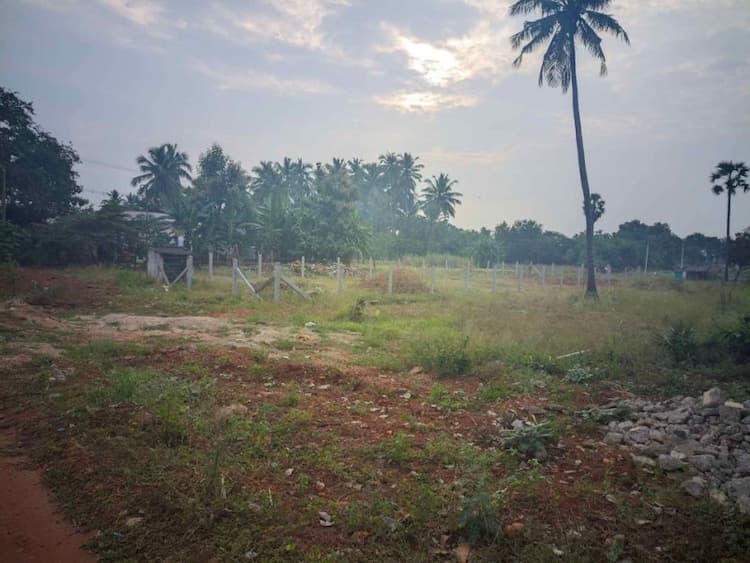 Land for sales