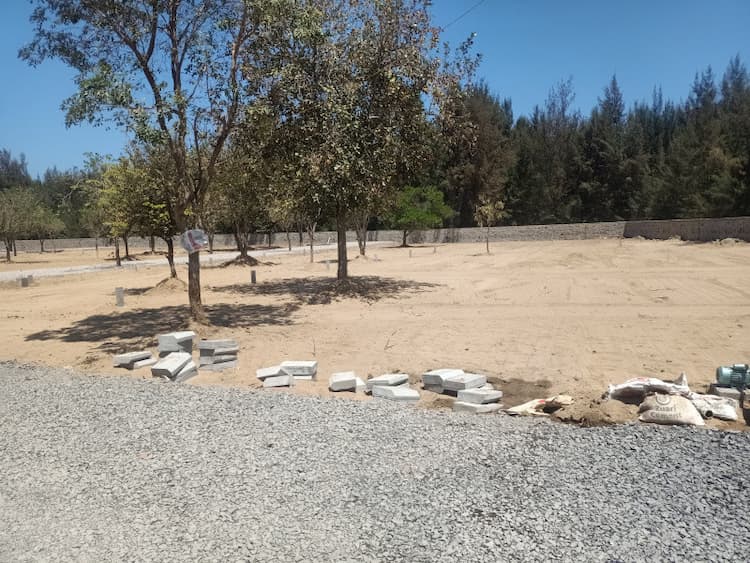 Residential Plot