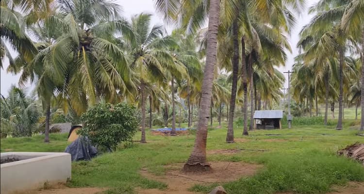 Land for Sale