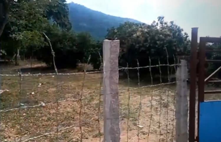Single Property Image