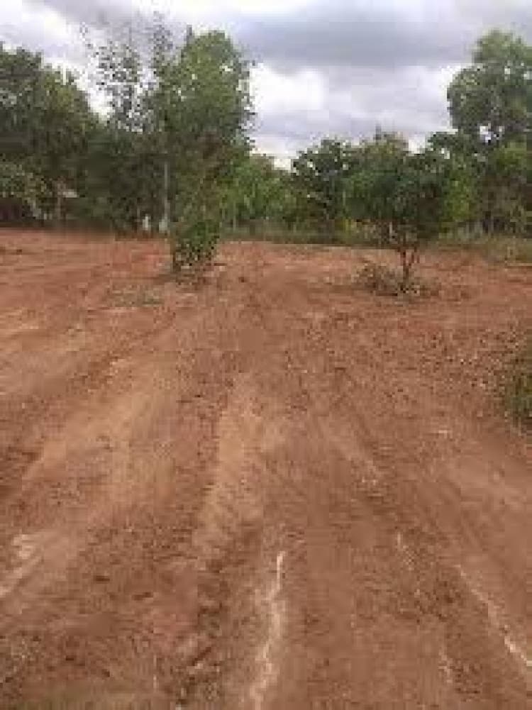 Plot sale