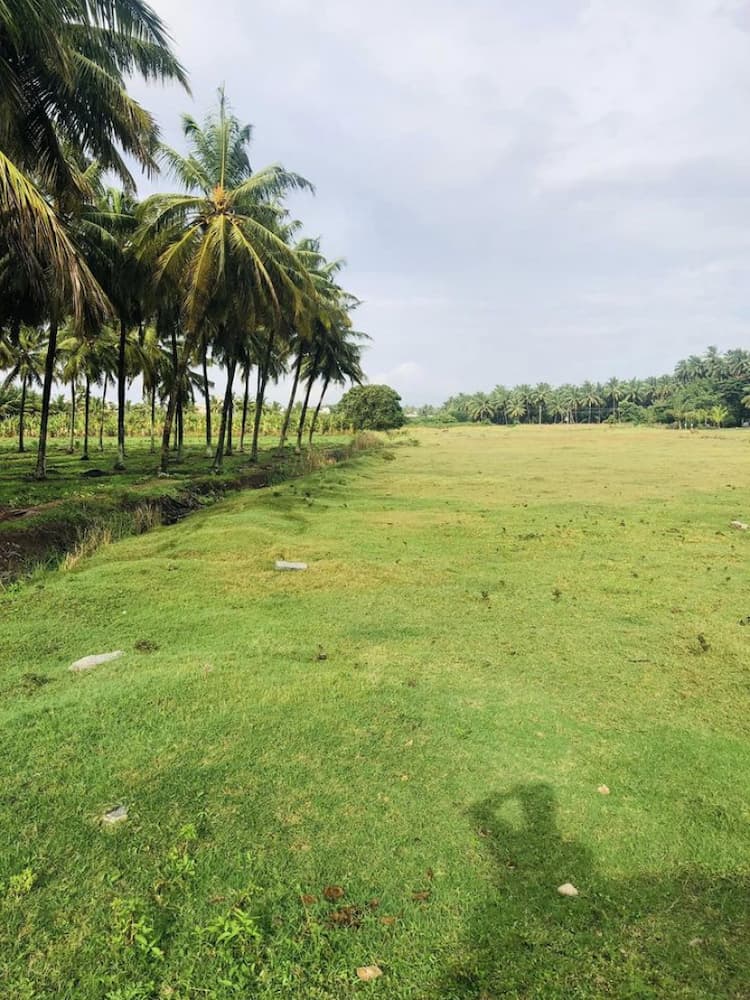 Single Property Image