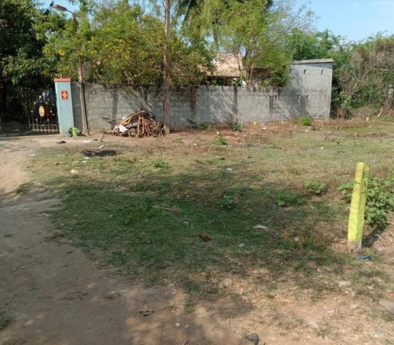 Residential Plot