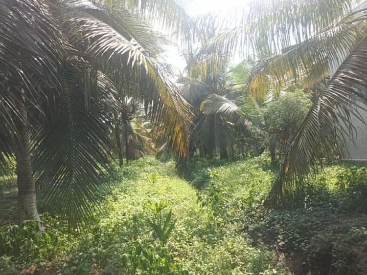 Single Property Image