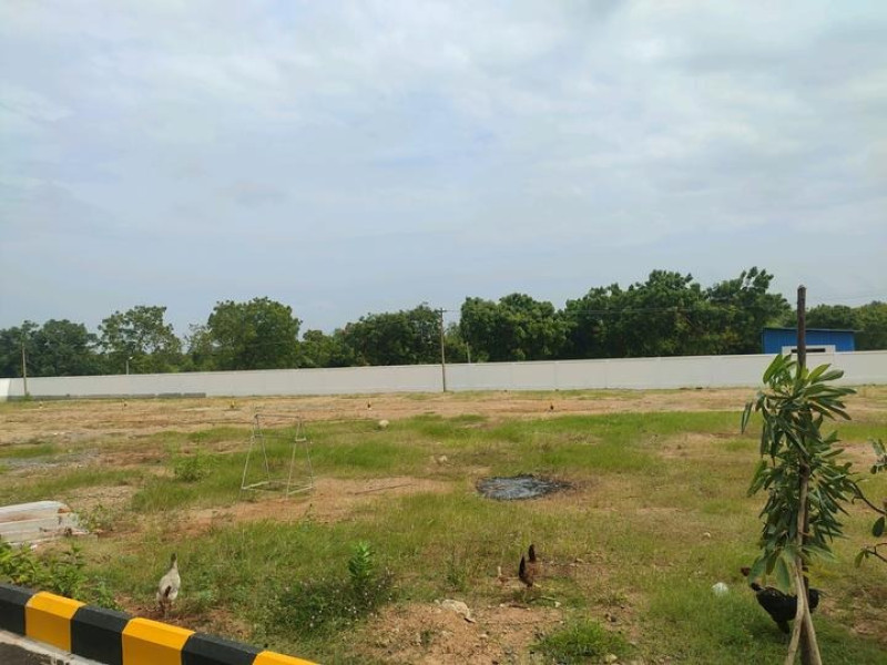 Residential Plot