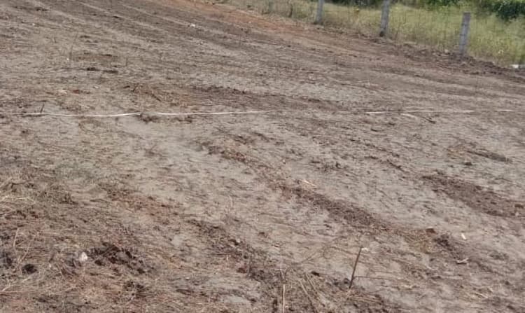 dtcp site for sale