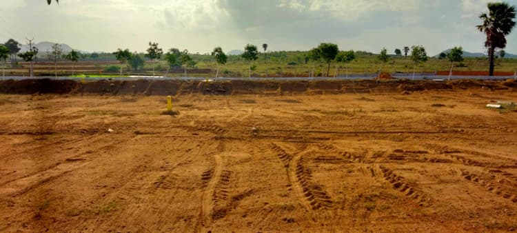 Residential Plot