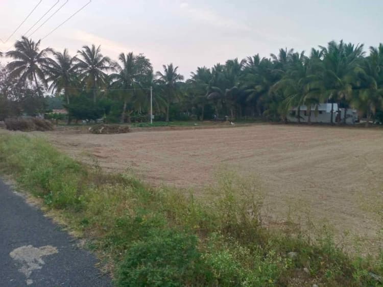 45 Cent Land for Sale