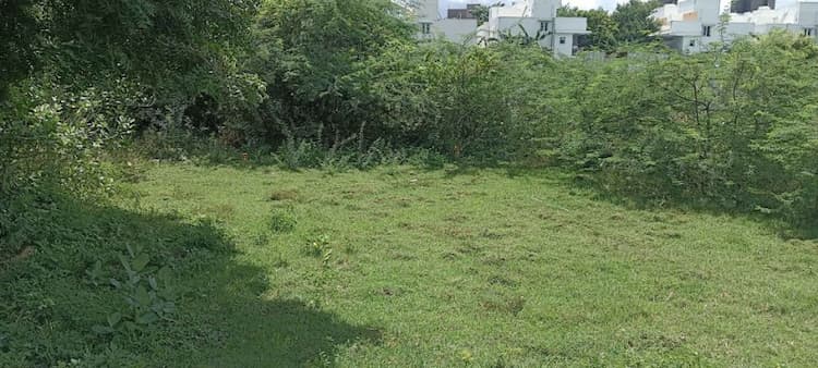 Land for sales