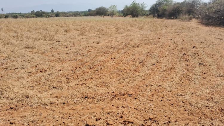 5.20 Acre Land for Sale