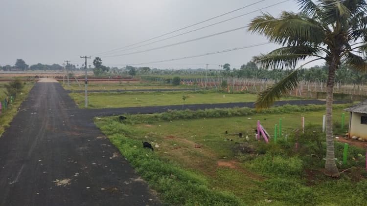 Single Property Image