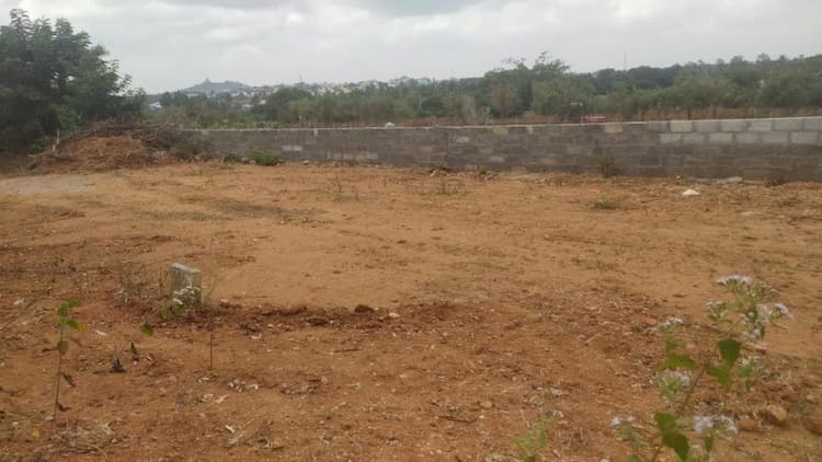 Plot sale