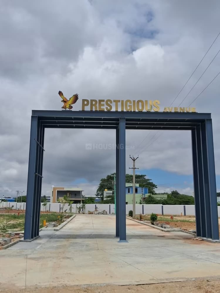 Residential Plot