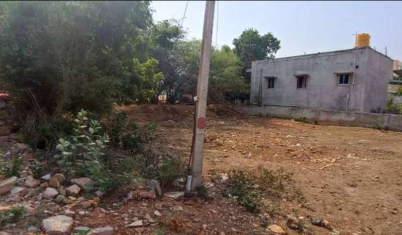 Land for sales