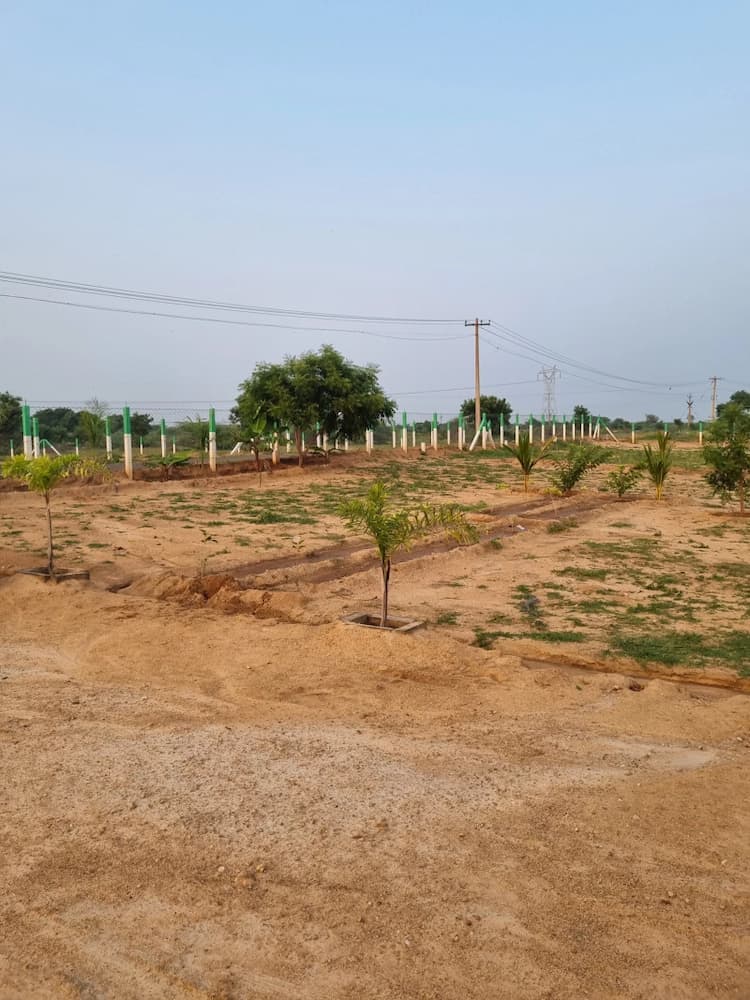 land sale