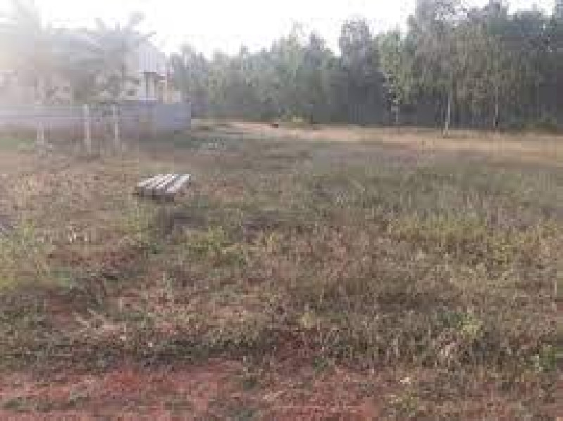 Plot sale
